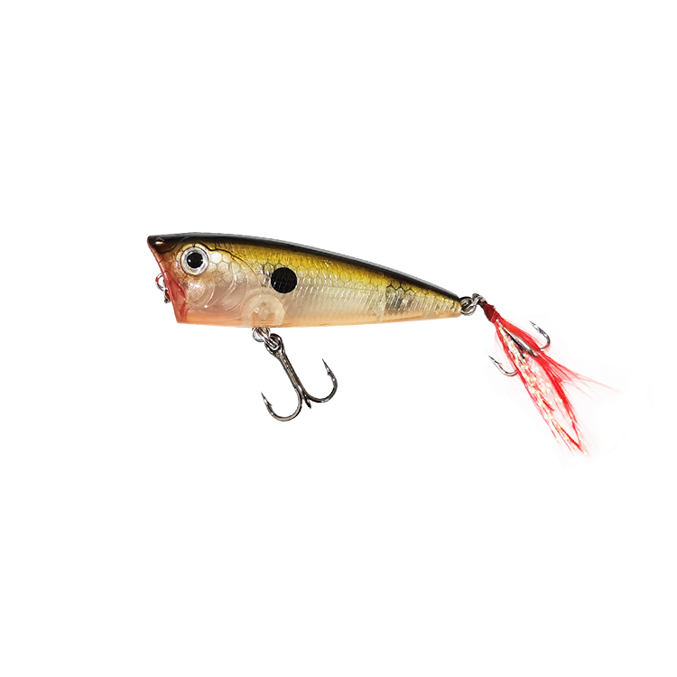 Bubble Fishing Freshwater 3D Eyes 60mm 4.8g Artificial Hard Plastic Bait Saltwater Weight Top Water Fishing Popper Lure – Popper – view 5
