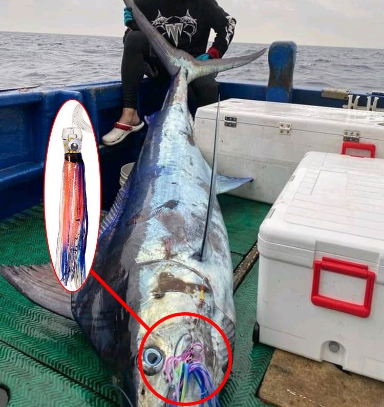CHEERY 6.5Inch 43g Boat Big Game Tuna Marlin Fishing Bait Resin Octopus Squid Skirt Bionic Trolling Lure for Wahoo Saltwater – Octopus Skirt – view 4