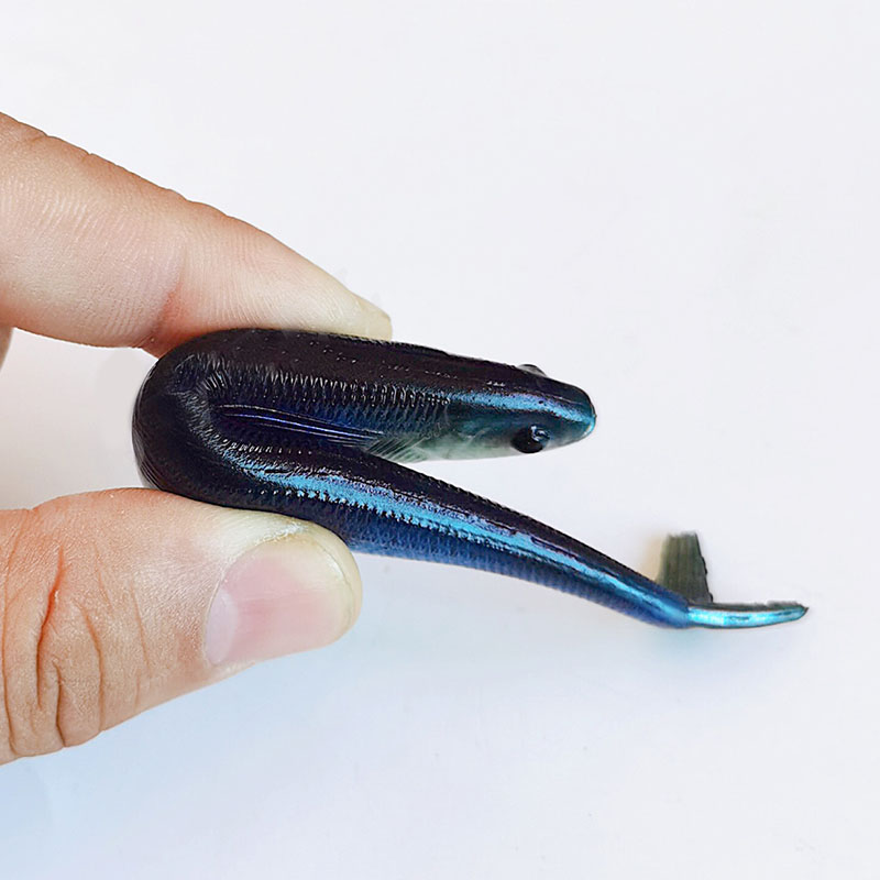 Cheery 3d Print Soft Bait Swim Bait Fishing Lures Soft Plastic Soft Lure – Worms & Grubs – view 5
