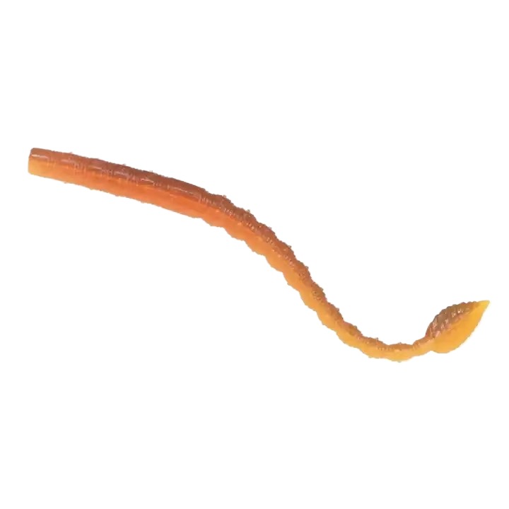 Cheery New 110mm/2.2G Senko Soft Plastic Bass Bait TPR Floating Soft Bait Worm Bait Artificial Silicone Bait – Worms & Grubs – view 5