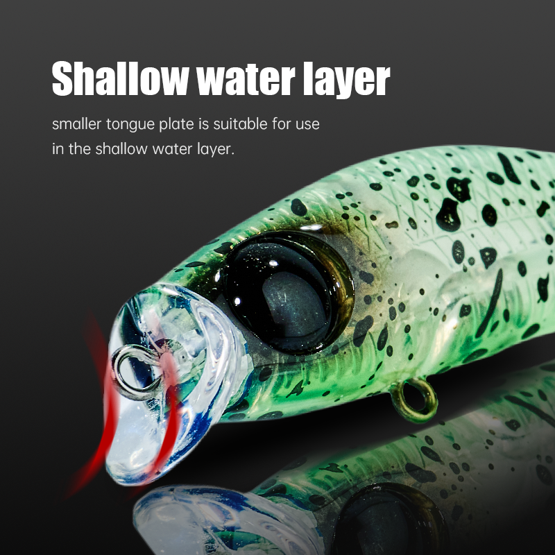 High Quality 2g Floating Minnow Lure ABS Material Artificial Hard Bait for Bass Perch Freshwater Fishing Hooks Direct – Minnow – view 5