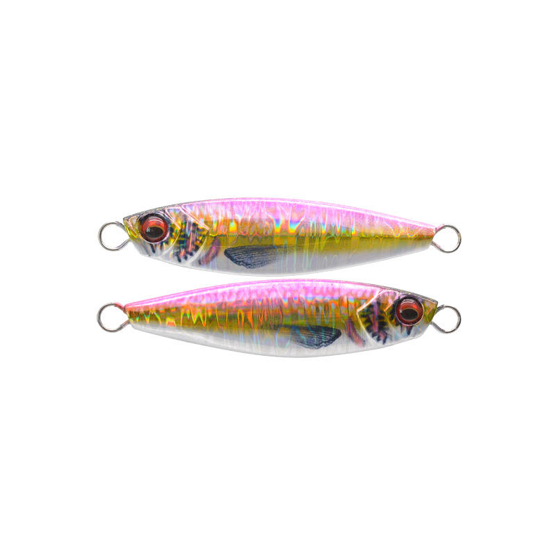 20g 30g 40g 60g 80g Japanese 3D Print Lifelike Sardine Fishing Metal Jig Lure Sea Fishing Jigger Bait – Metal Lure – view 5