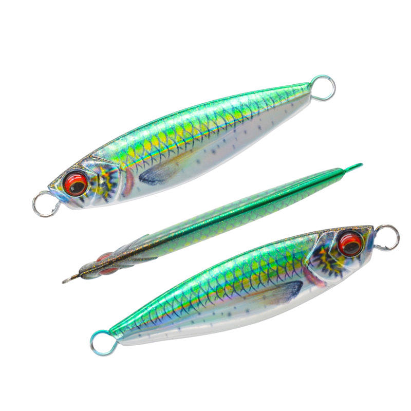 20g 30g 40g 60g 80g Japanese 3D Print Lifelike Sardine Fishing Metal Jig Lure Sea Fishing Jigger Bait – Metal Lure – view 3