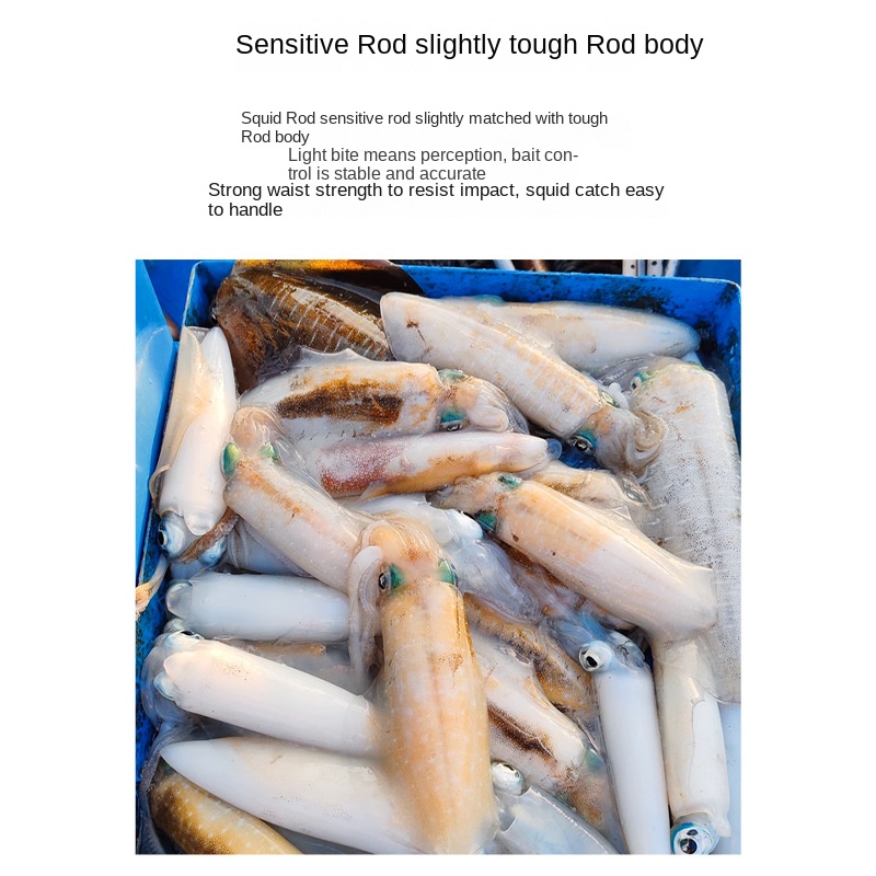 CHEERY ML Squid Rod Fishing Cuttlefish Squid Carbon Rod Slightly High Carbon Light Boat Fishing Rod 2 Sections Hard Cross – Fishing Rod – view 2
