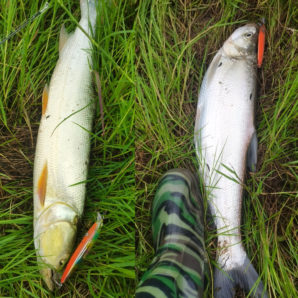 Cheery 13cm/18.5g Floating Water Mino Flash Crazy Scale Upper Water Bionic f Bait Floating Water – Minnow – view 3