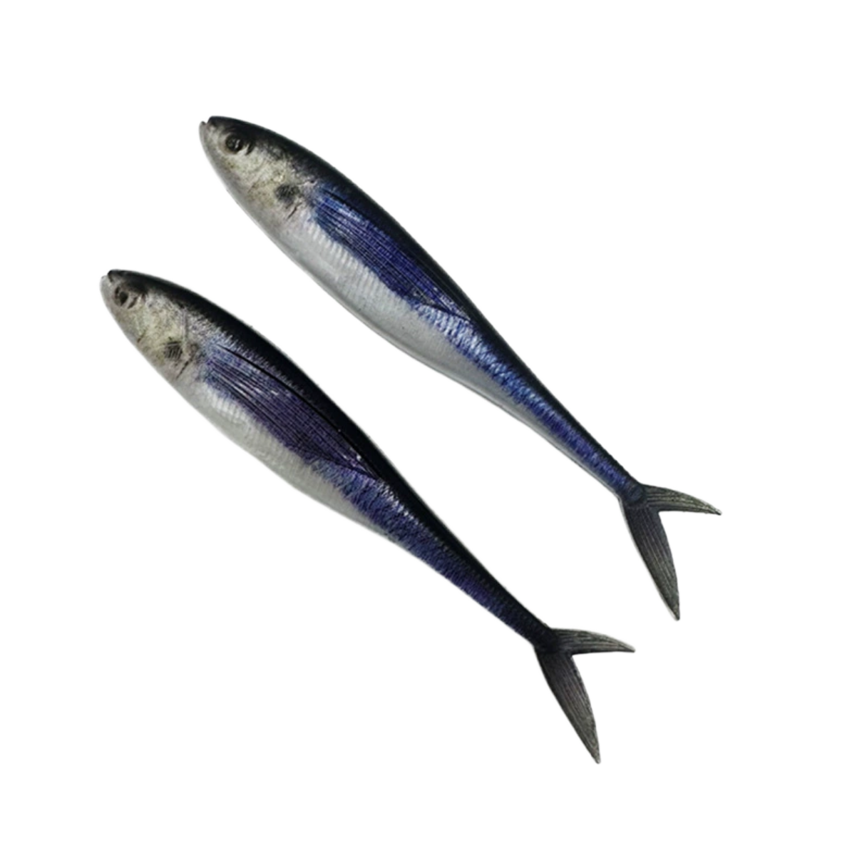 CHEERY 12cm 3D PVC Fork Tail Fishing Bait Soft Plastic Lure for Ocean Boat River Lake Sea Stream Fishing – Soft Lure – view 3