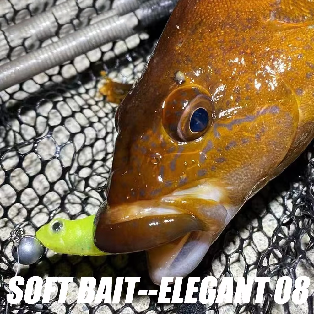 High Quality Stainless Steel 8-Piece Lure Sticky-Eye Soft Bait T-Tail Black-Pit Bass Mandarin Fish Powerful Fish-Attractant – Worms & Grubs – view 5
