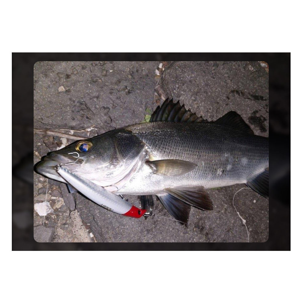 Floating Minnow Lure, Hard Bionic Fishing Bait for Sea Bass and Topmouth Culter, Outdoor Fishing Tackle – Hard Lure – view 3