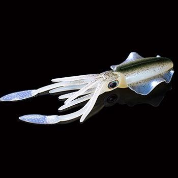 New Luminous Trolling Soft Squid Lure, Silicone Octopus Skirt Soft Bait – Hard Lure – view 5